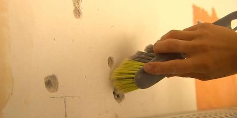 schoonmaken