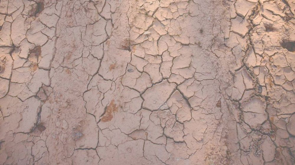 kleigrond compost kwaliteit