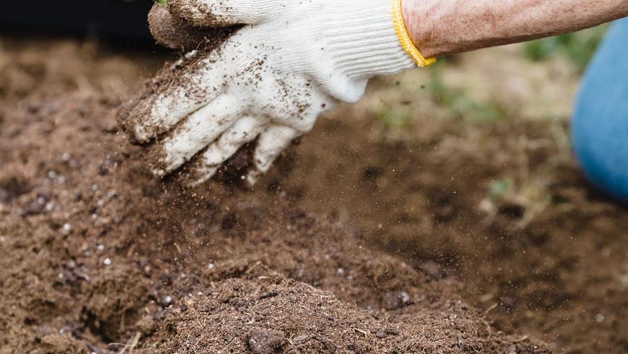 Hoe Leg Je Zelf Een Bloemenweide Aan Dobbit